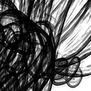 Detall arbre, de Montse Noguera